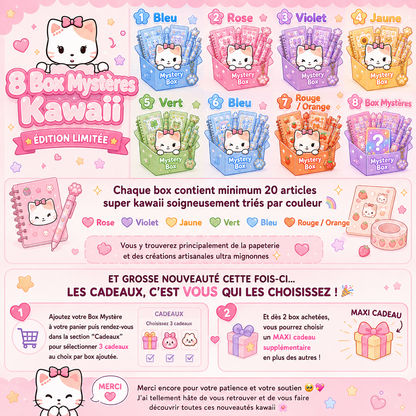 🌸 Maxi Cadeaux Box Mystère 🎀